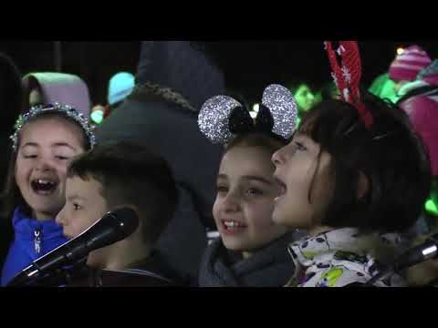 ნაძვის ხის ანთება