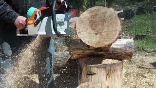 Big Bertha 084 in hard maple #stihl #084