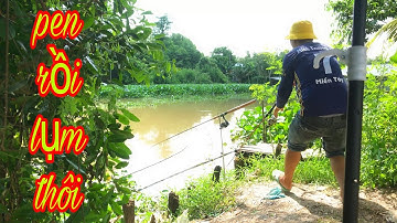 Câu Cá Tra Sông | Bãi Câu Này Thả Mồi Là Dính Cá - Fishing