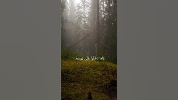 سورة يوسف بصوت الشيخ علي جابر (31) #اكسبلور #القزابري #لايك #peace #المصحف #راحة_نفسية #دويتو #لايك