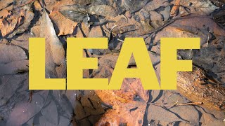 LEAF: Introduction