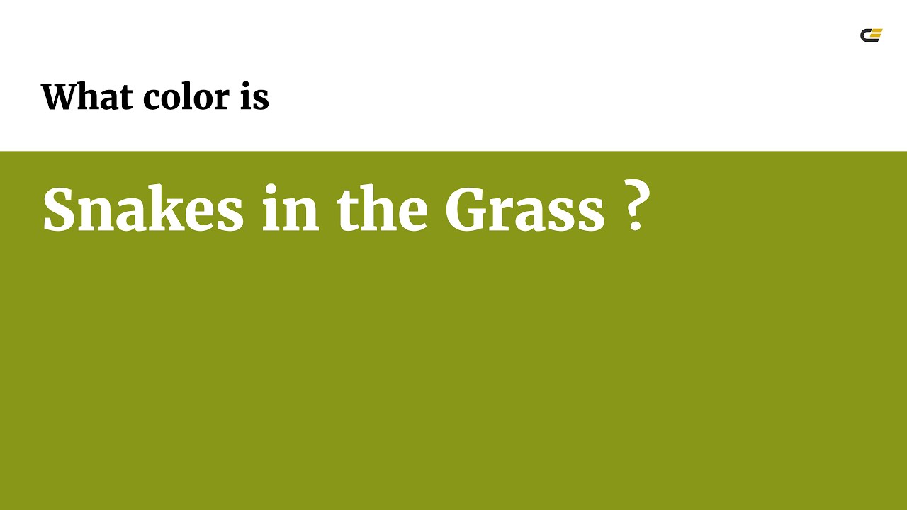 Snakes in the Grass color #889717 hex color - Green color - Cool color ...