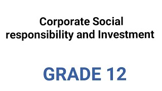 Business studies grade 12 Corporate social responsibility and Investment