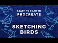 Learn to Draw in Procreate // Sketching Birds
