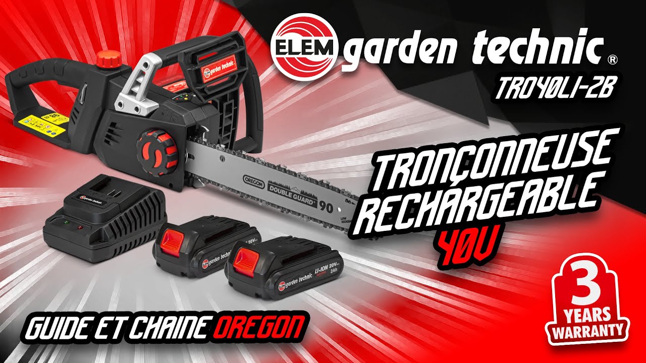 Tronçonneuse rechargeable 40V (2x20V) - Guide et chaîne Oregon - Livrée  avec 2 batteries et chargeur