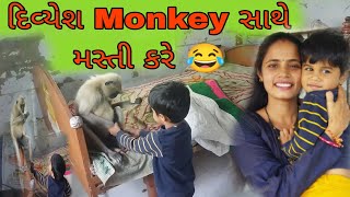 દિવ્યેશ Monkey સાથે મસ્તી કરે ?Divyesh and family LifeGujarati life style vlog