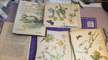 Edith Holden file folder - episode 1 #tattytreasure