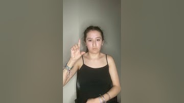 ASL project language background