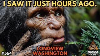 I Saw It Just Hours Ago! | Bigfoot Society 564