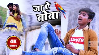 Jaa Ye Tota - Aatish Ujala - दिल के दर्द - न्यू सैड भोजपुरी सॉन्ग - Ragni Music chords