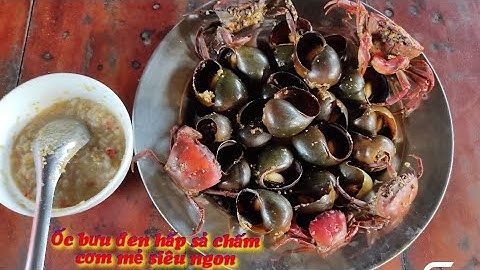 Định Youtube/Ốc bưu hấp sả chấm cơm mẻ siêu ngon.