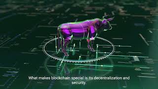 Blockchain vs Traditional Databases Whats the Difference