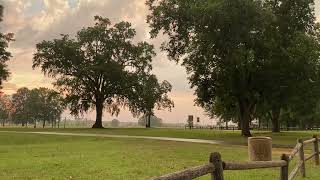 Gentle Rain And Heavy Wind Sounds Melles Oasis