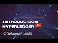 Introduction to hyperledger  hyperledger course  blockchain  cryptochainacademy  hindi 