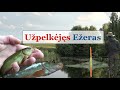 Užpelkėjęs ežeras - Gabrielius Ser