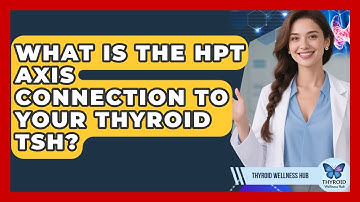 What Is The HPT Axis Connection To Your Thyroid TSH? - Thyroid Wellness Hub