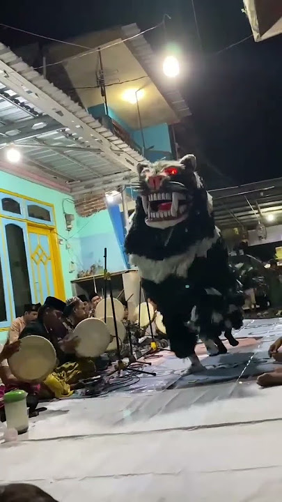 MBEROT VERSI MACAN SINGO MUHARTO KALAPAN PUTRA PANDAWA #storywa #fullhoreg #mberot #bantengan