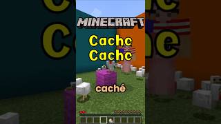 Minecraft Cache Cache 2