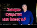 Эмоции: существо и самость.