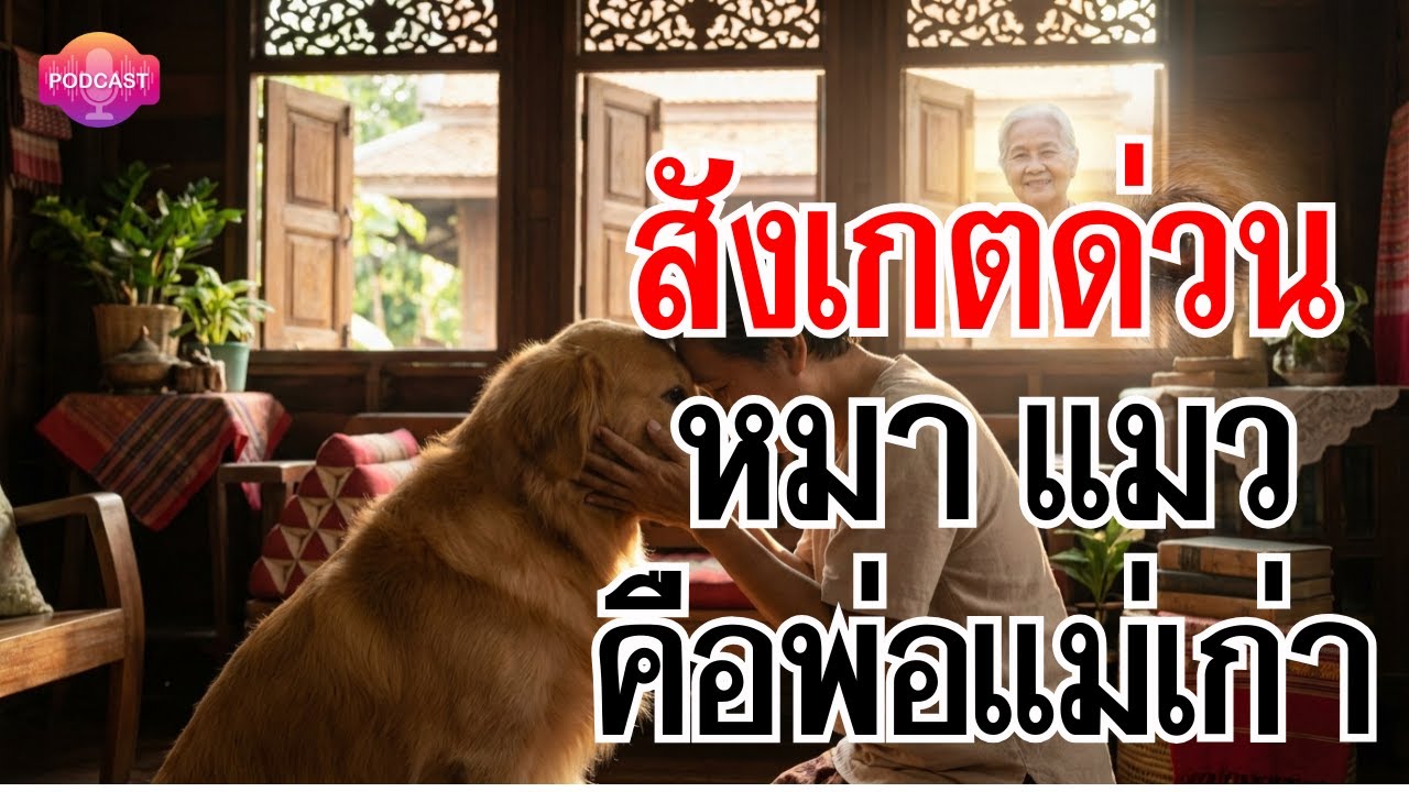 สังเกตด่วน! 5 สัญญาณหมาแมวที่บ้าน คือ 