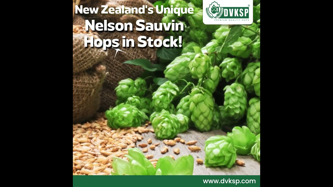 Brew with the Best - Nelson Sauvin Hops Arrival - DVKSP Premium Hops, Malts, Yeast & Spices Supplier