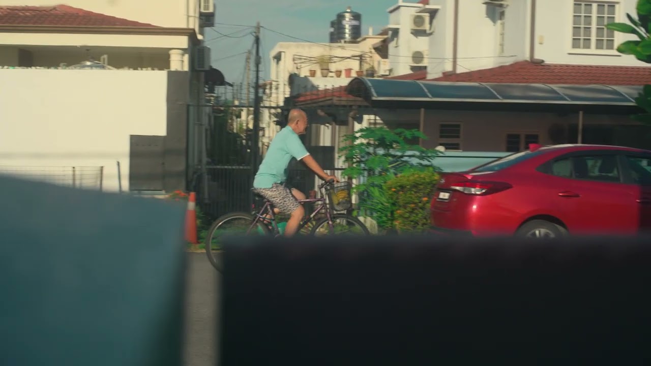 4K 10-bit Rec.2020 Test Footage - Lumix S5 + FD 50mm f1.4