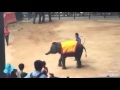 Twerk it like Soisoi the Elephant (Pattaya 2015)