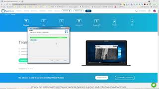 Teamviewer 2021