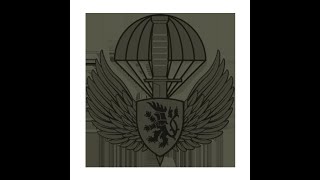Task Force Lion Arma 3 Mod guide