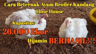 Cara beternak ayam broiler kandang CLOSE HOUSE kapasitas 26.000 Ekor