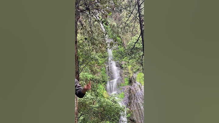Beautiful waterfall in Shimla Entry ticket ₹30 #shimla #summerhill #chadwick #waterfall