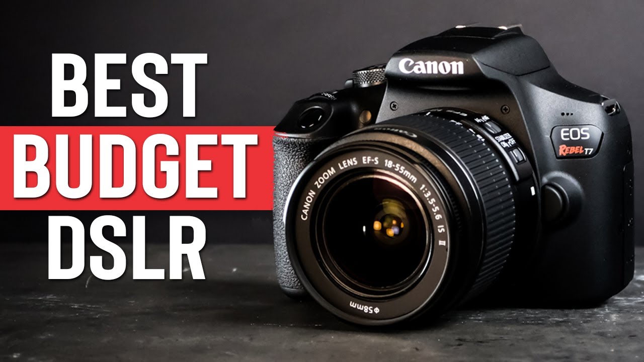 Best budget-friendly DSLR cameras for beginners