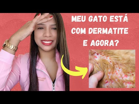 Vídeo: Dermatite Solar Em Gatos: Como Prevenir Queimaduras Solares Em Gatos