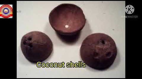 KRSMA#Standard 3 EVS Part 4 Chapter 8 Let