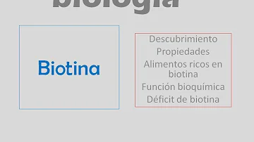 ¿Cuál es la función de la biotina en el organismo?