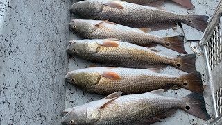 3 man redfish limit : Port Mansfield Texas