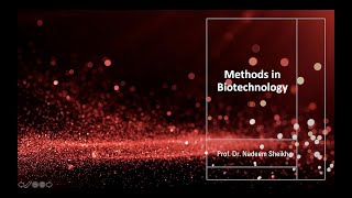 BT734 Topic 195 Procedure II
