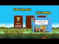 NSO | Con Hàng Trùm Cày Chay Chỉ 34 ngày dc tạo như thế nào