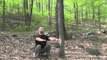 Tree Squat.mov