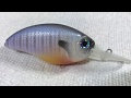 Painting a Renegade Gill Crankbait