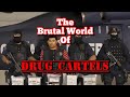 Inside the Brutal World of Drug Cartels — Power, Money, and Fear Revealed