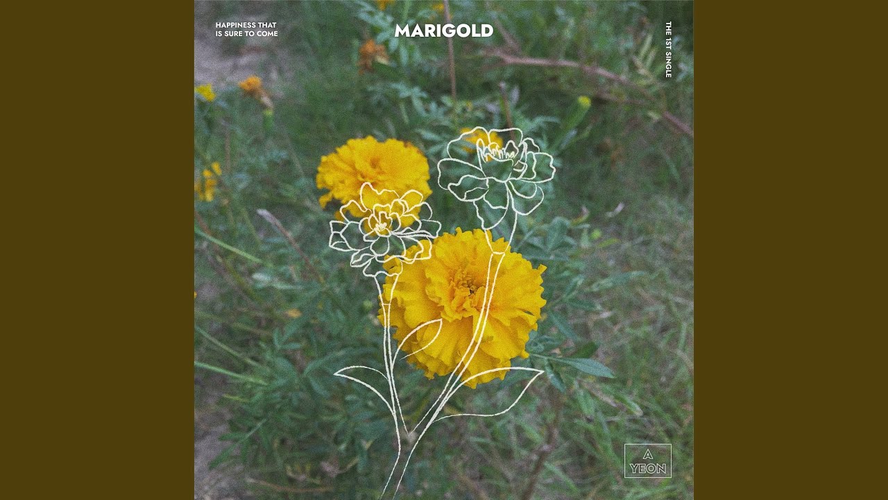 Marigold YouTube