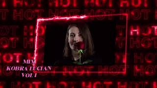 Kobra Lucian Vol  1   Colaj Melodii De Dragoste
