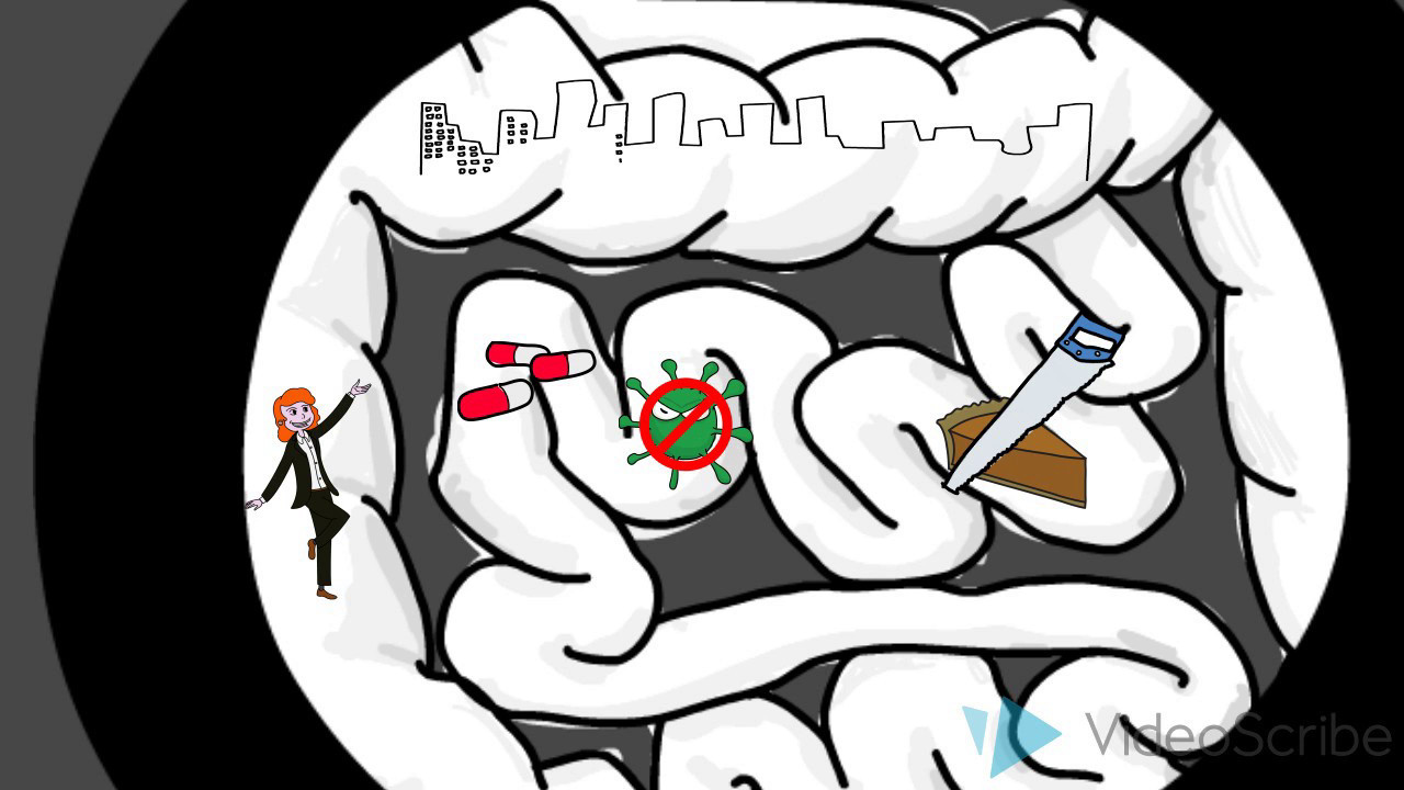 Lesson: bacteria - friend or foe ?