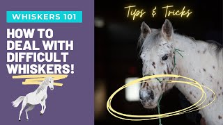 Horse Photography Tutorial | How To Deal With Horse Whiskers | Equine Photography Tips & Tricks screenshot 3