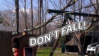 CLEANING UP STORM DAMAGED TREE with BATTERY CHAINSAW