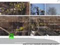 Polish plane crash: New images, flight recorders s...