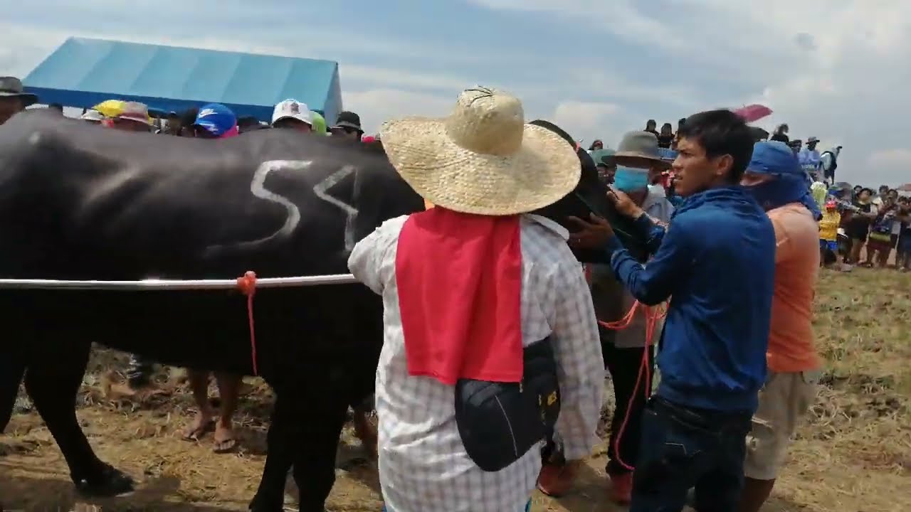 pogi ng tagulod. Delta variant. vs Bridgestone. candating arayat pampangga battle of the champion