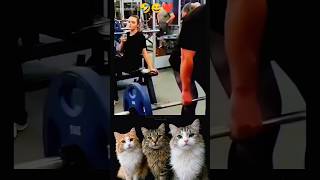 Mood catshort 😅😻#shorts #trending #cat #funny