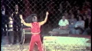 Werner Stiebner - Leoparden & Schwarze Panther - Circus Knie 1973